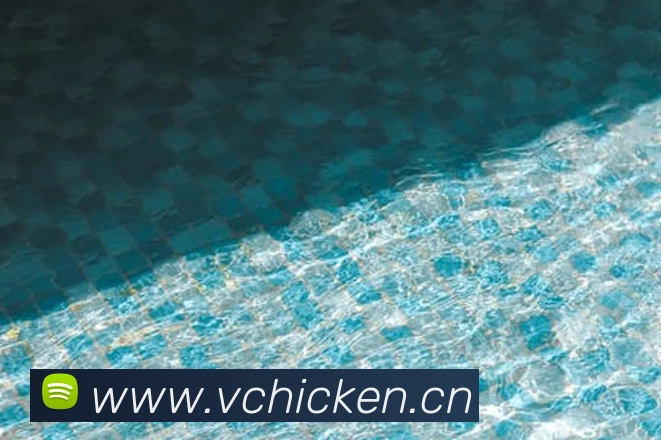 多媒体互动体验